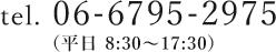 06-6795-2975